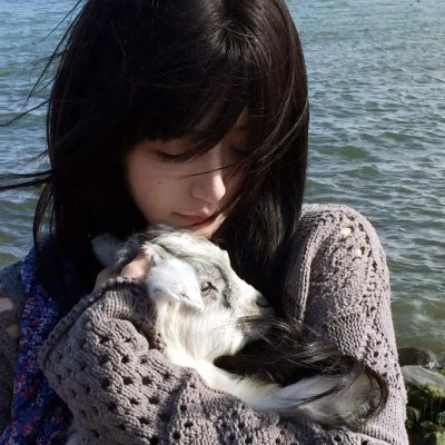 神拳无敌八卦掌 海报
